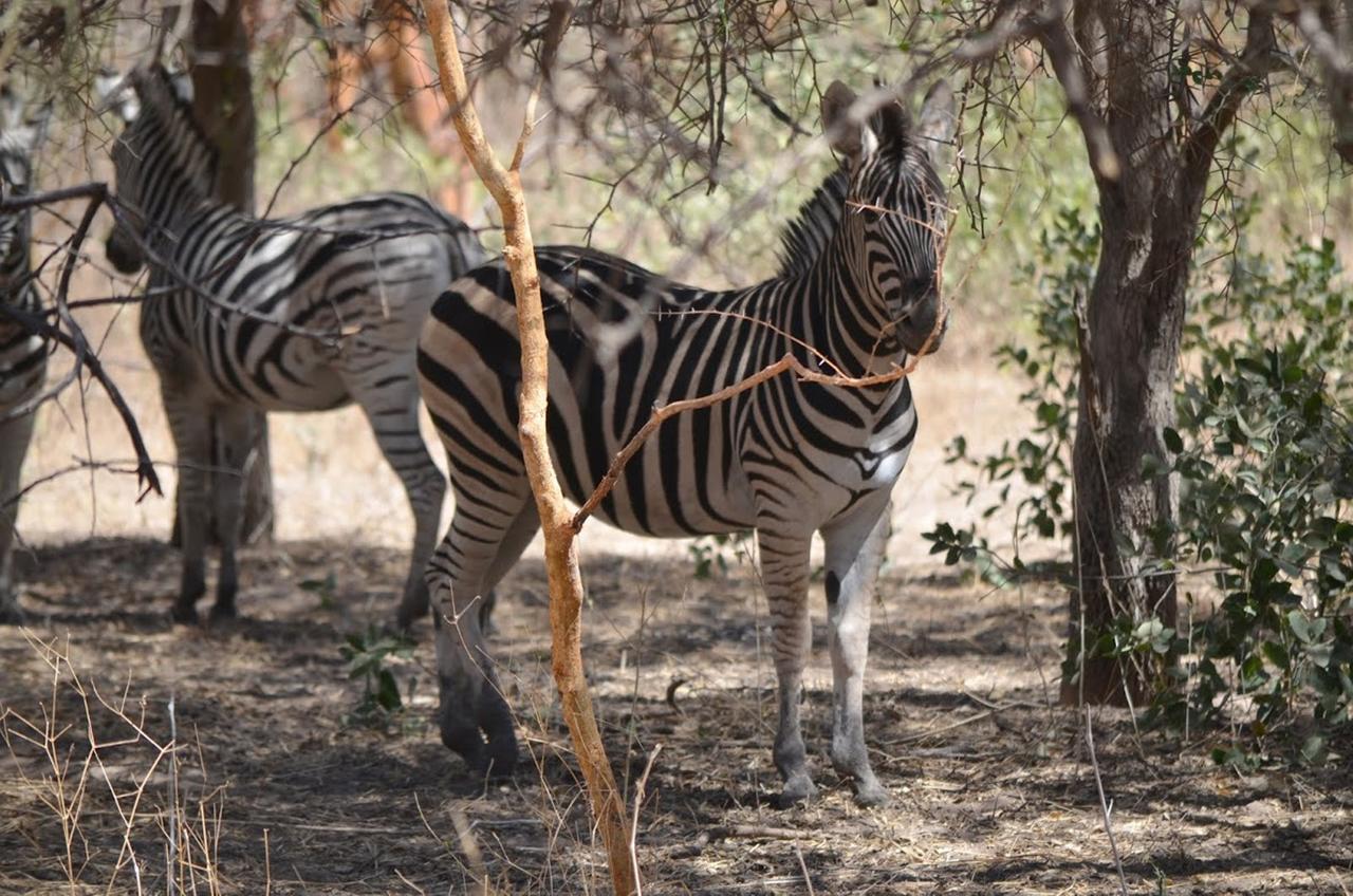 Отель Terre D'Afrique Popenguine Экстерьер фото